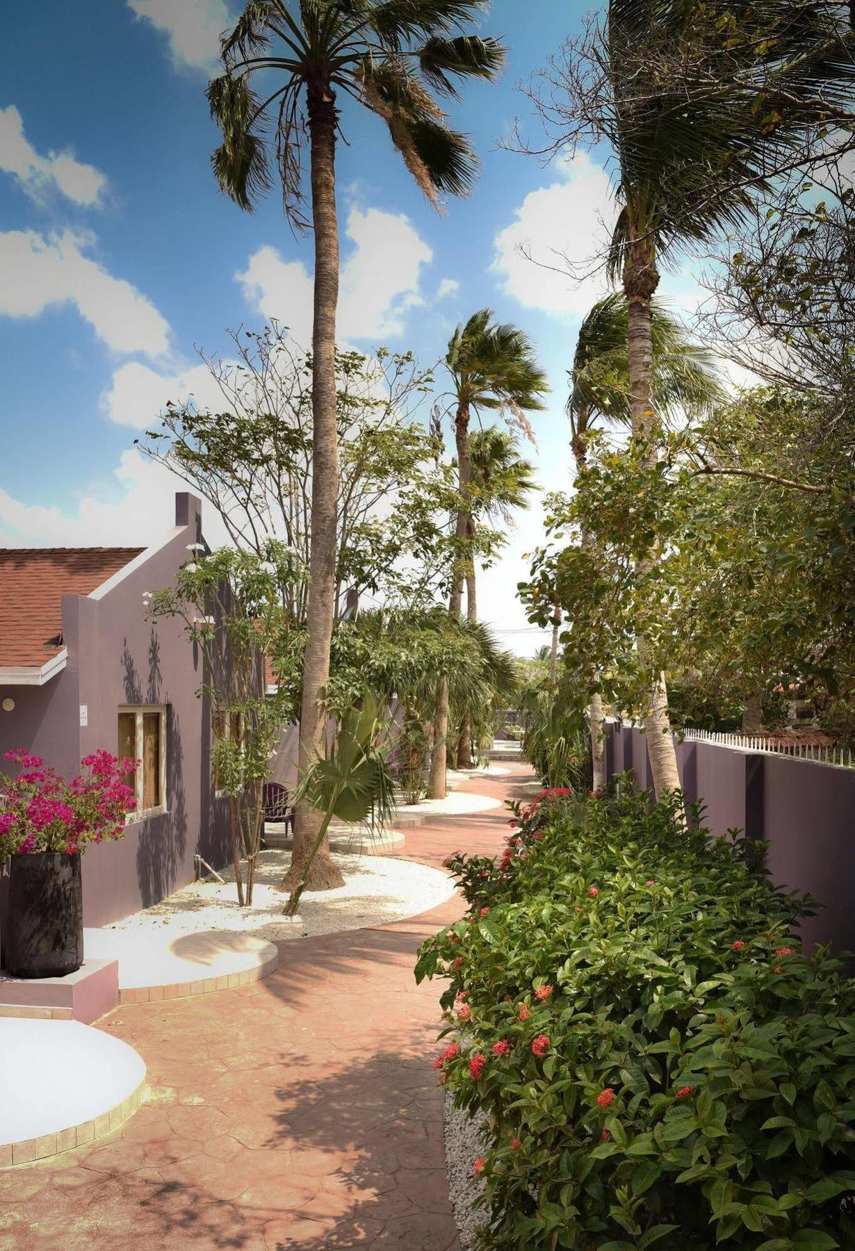 Cadushi Apartments Oranjestad Esterno foto