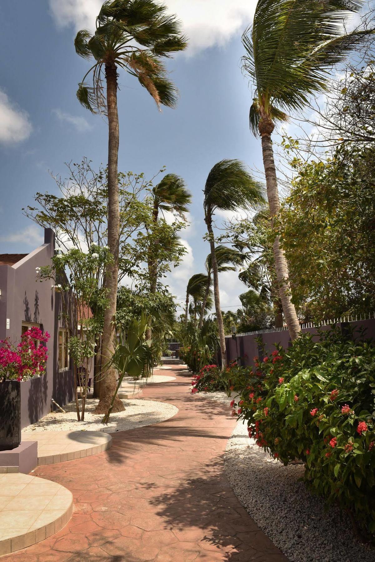 Cadushi Apartments Oranjestad Esterno foto