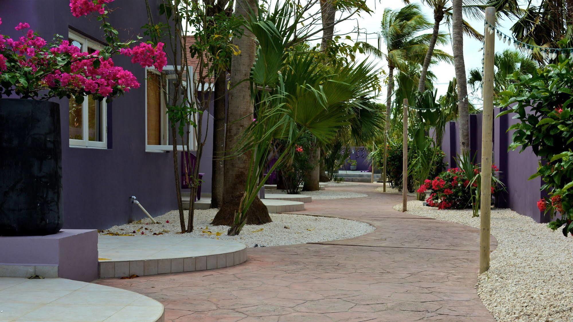 Cadushi Apartments Oranjestad Esterno foto